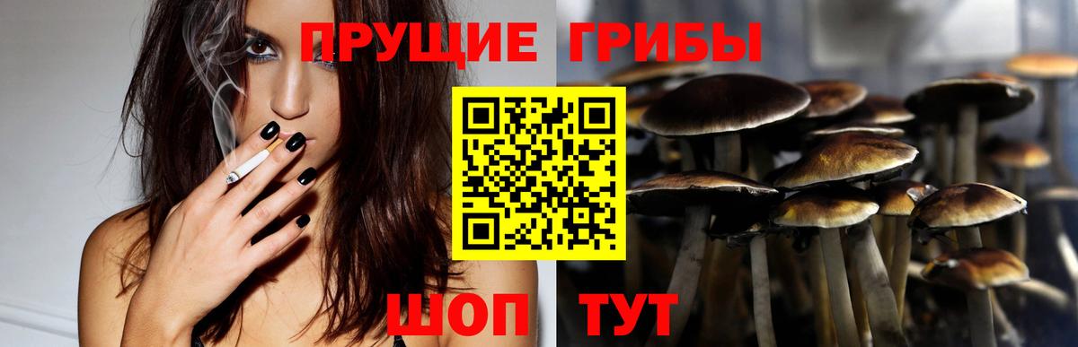 Псилоцибиновые грибы Psilocybine cubensis  Псилоцибиновые грибы ЛСД  Вход с VPN  Зима 